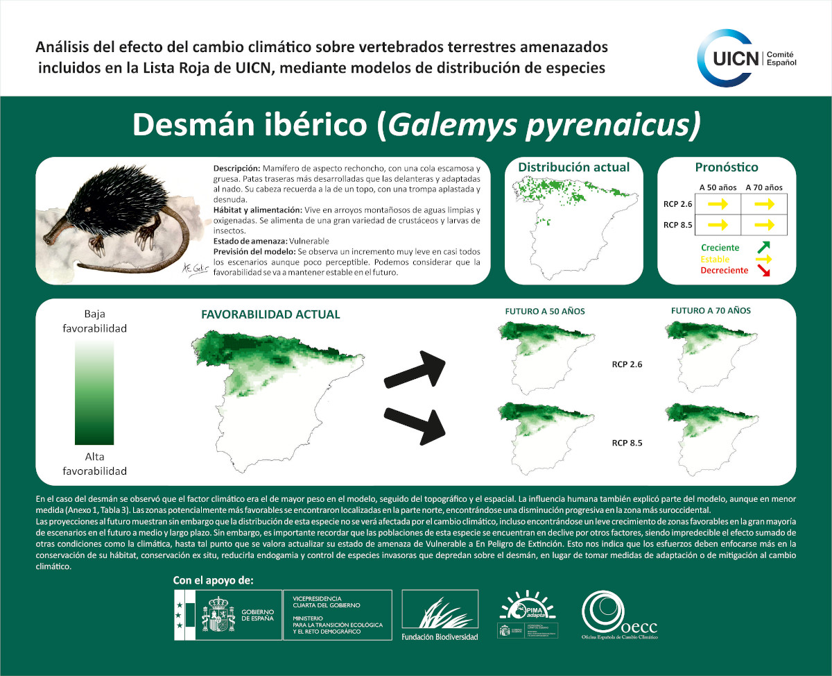 Desmán ibérico. Galemys pyrenaicus