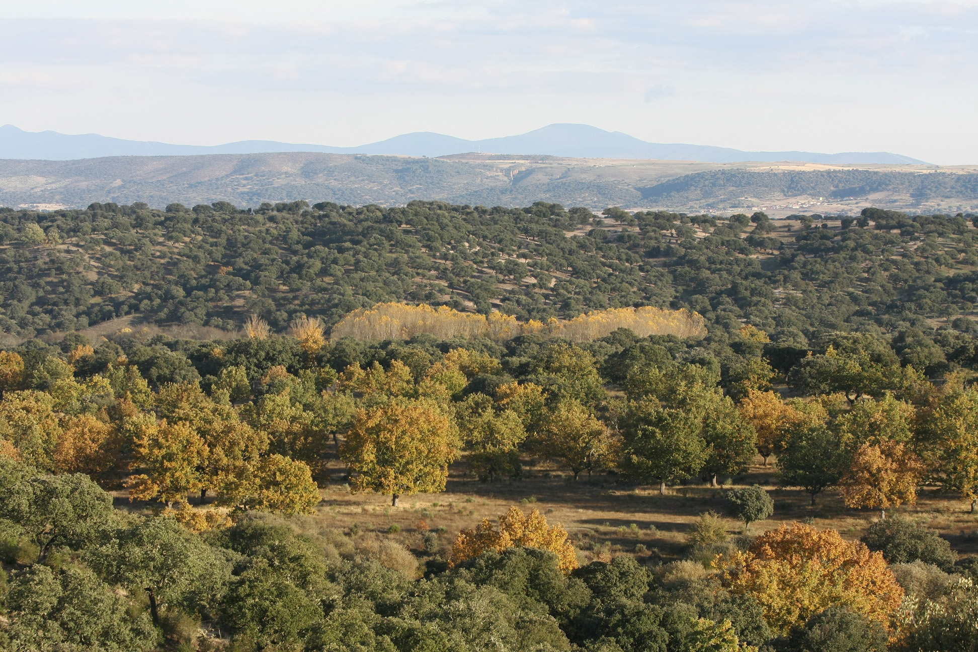 El Protected Planet Pavilion, punto focal europeo sobre áreas protegidas en el Congreso Mundial de Parques