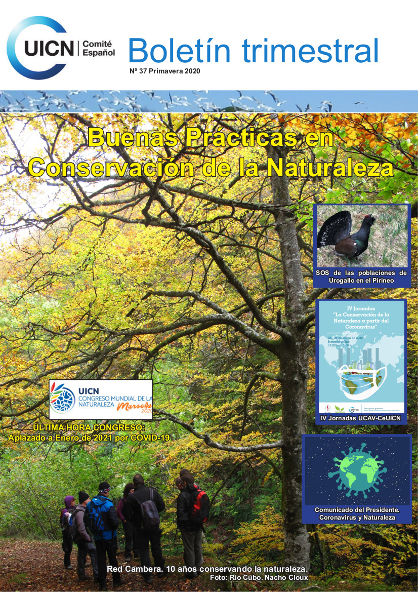 Nº 37. Primavera 2020