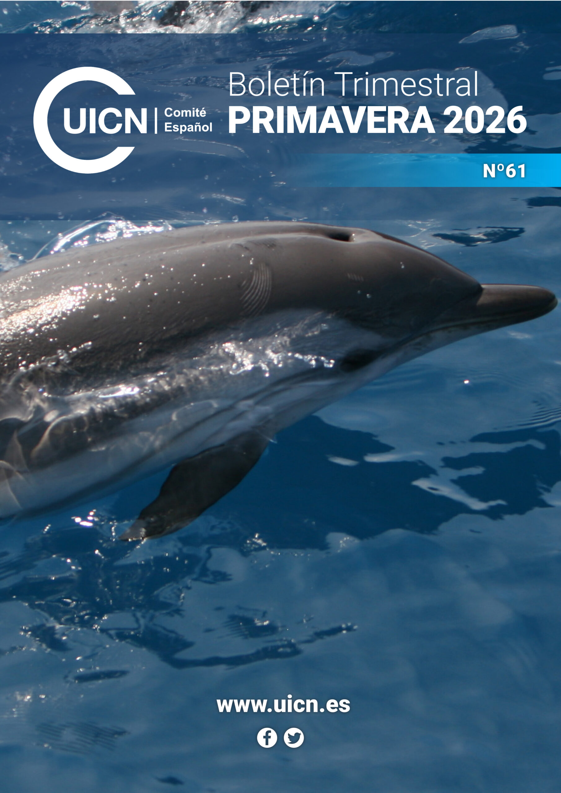 Nº 61. Primavera26